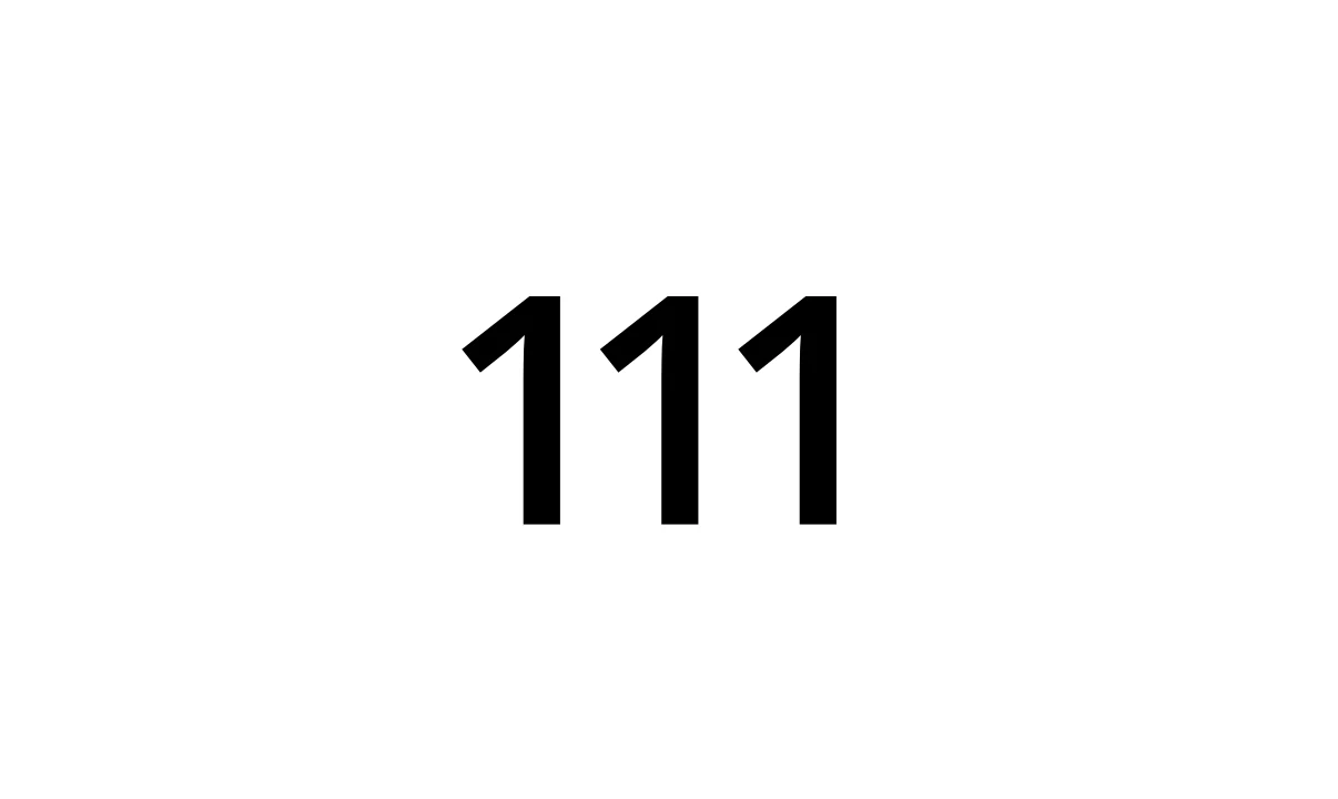 The number 111.