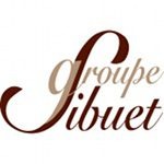 logo-groupe-sibuet_A